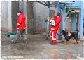 Reserverna b+ñr hund 4.jpg